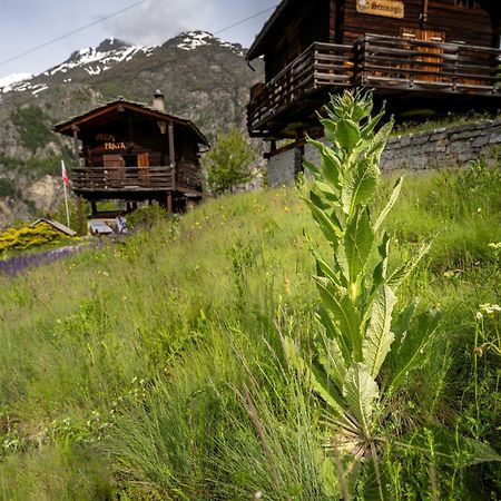 Korn-Stadel Arida Prata "Natur Pur" Grachen Exterior photo