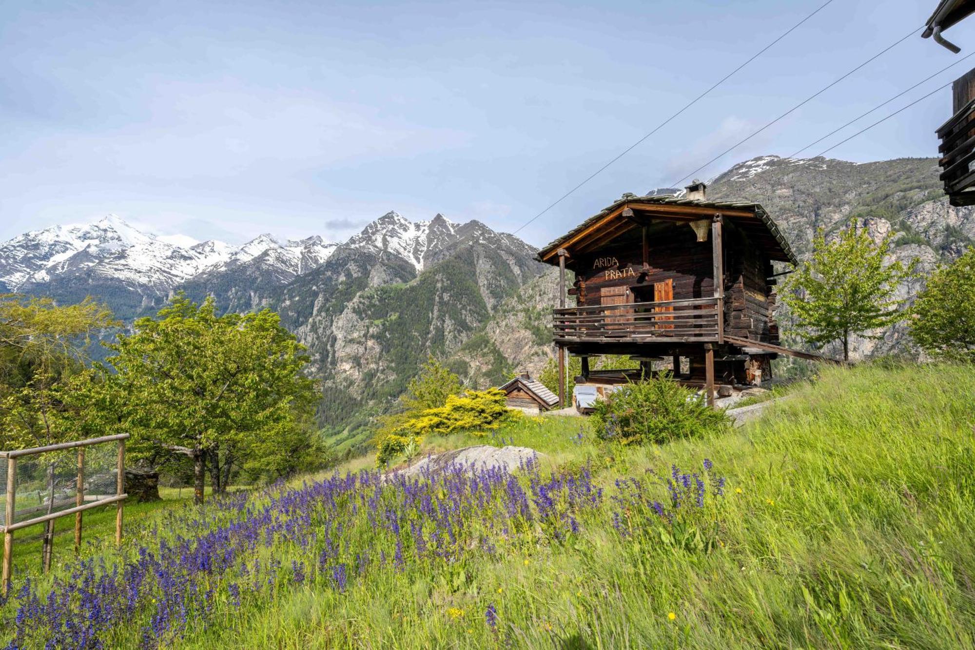 Korn-Stadel Arida Prata "Natur Pur" Grachen Exterior photo